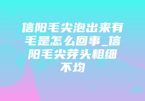 信阳毛尖泡出来有毛是怎么回事_信阳毛尖芽头粗细不均