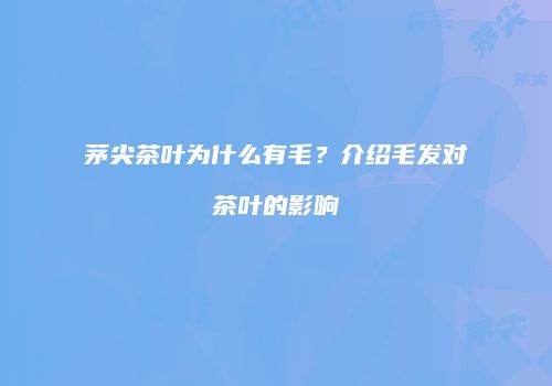 茅尖茶叶为什么有毛？介绍毛发对茶叶的影响