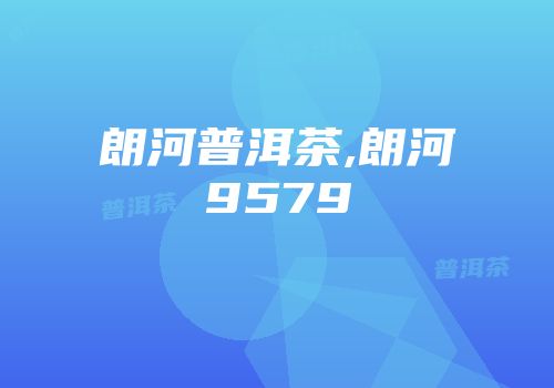 朗河普洱茶,朗河9579