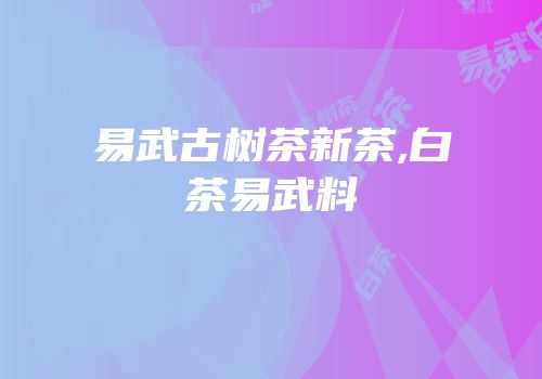 易武古树茶新茶,白茶易武料