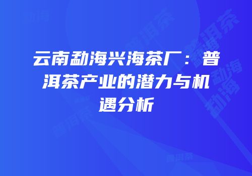 云南勐海兴海茶厂：普洱茶产业的潜力与机遇分析