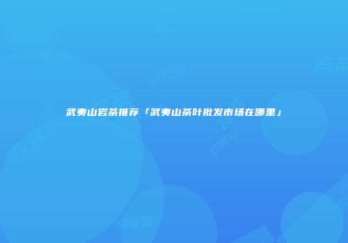 武夷山岩茶推荐「武夷山茶叶批发市场在哪里」