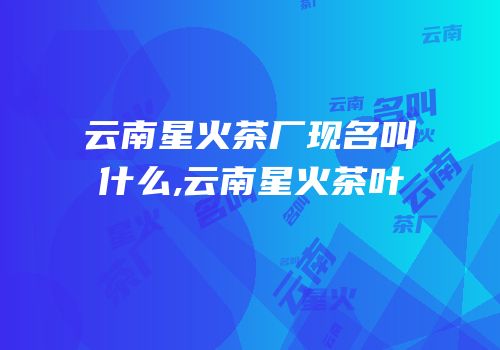 云南星火茶厂现名叫什么,云南星火茶叶