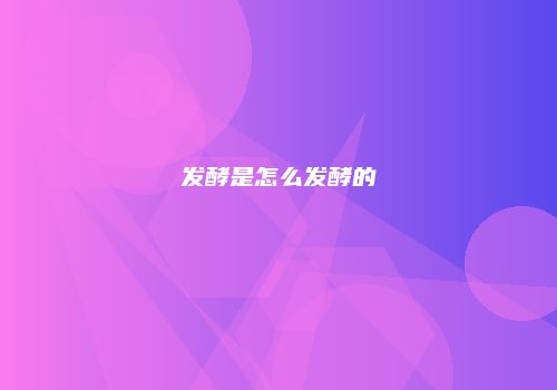 发酵是怎么发酵的