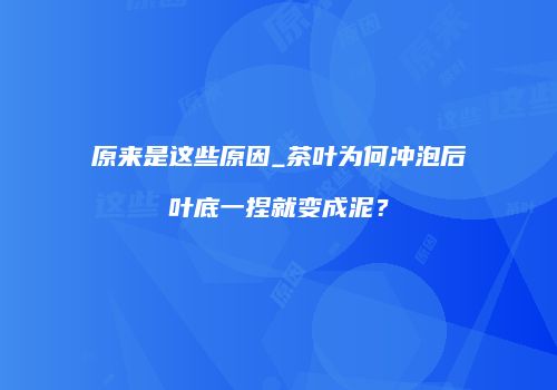 原来是这些原因_茶叶为何冲泡后叶底一捏就变成泥？
