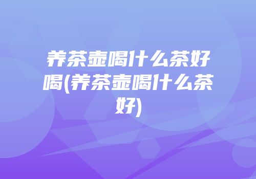 养茶壶喝什么茶好喝(养茶壶喝什么茶好)
