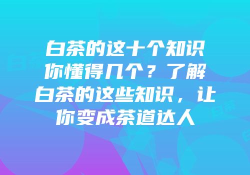 白茶的这十个知识你懂得几个？了解白茶的这些知识，让你变成茶道达人