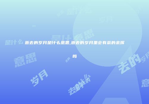 逝去的岁月是什么意思,逝去的岁月里会有茶的余晖吗