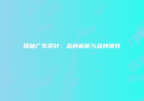探秘广东茶叶：品种解析与品牌推荐