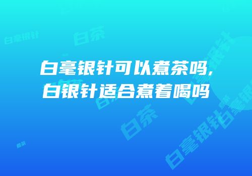 白毫银针可以煮茶吗,白银针适合煮着喝吗