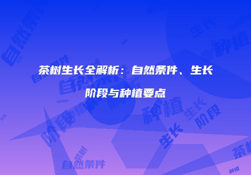 茶树生长全解析：自然条件、生长阶段与种植要点