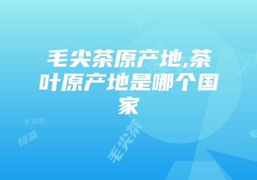 毛尖茶原产地,茶叶原产地是哪个国家