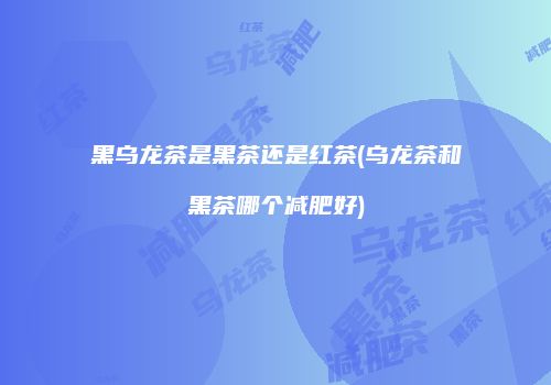 黑乌龙茶是黑茶还是红茶(乌龙茶和黑茶哪个减肥好)