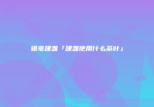 银毫建盏「建盏使用什么茶叶」