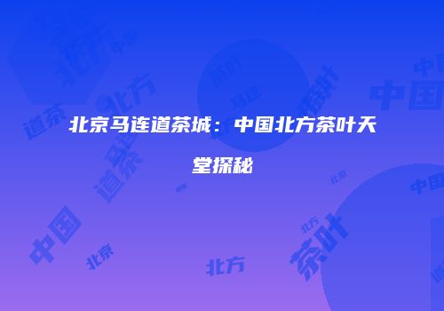 北京马连道茶城：中国北方茶叶天堂探秘