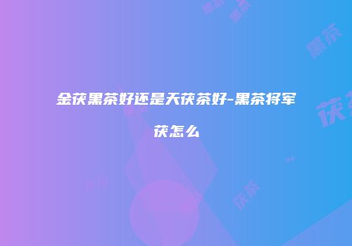 金茯黑茶好还是天茯茶好-黑茶将军茯怎么