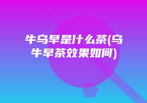 牛乌早是什么茶(乌牛早茶效果如何)