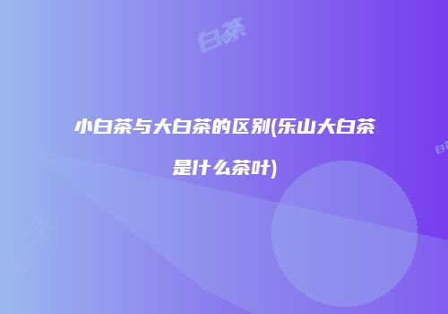 小白茶与大白茶的区别(乐山大白茶是什么茶叶)