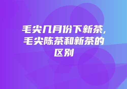 毛尖几月份下新茶,毛尖陈茶和新茶的区别