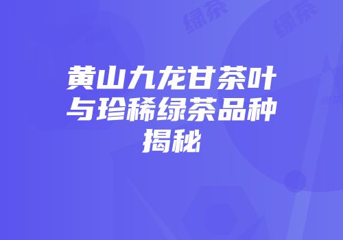 黄山九龙甘茶叶与珍稀绿茶品种揭秘