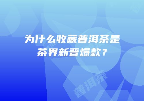 为什么收藏普洱茶是茶界新晋爆款？