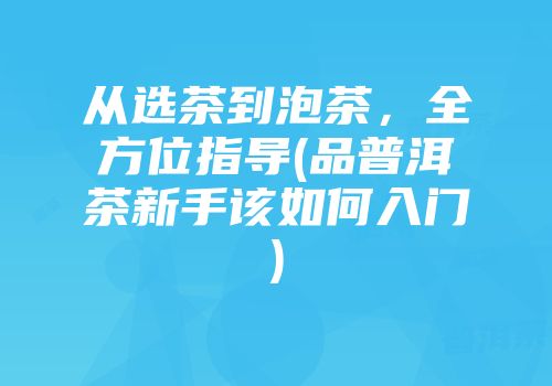 从选茶到泡茶，全方位指导(品普洱茶新手该如何入门)