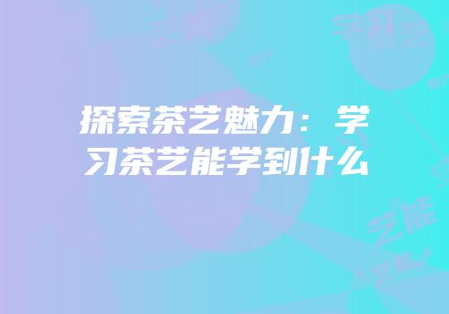 探索茶艺魅力：学习茶艺能学到什么