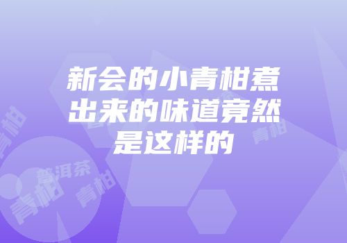 新会的小青柑煮出来的味道竟然是这样的