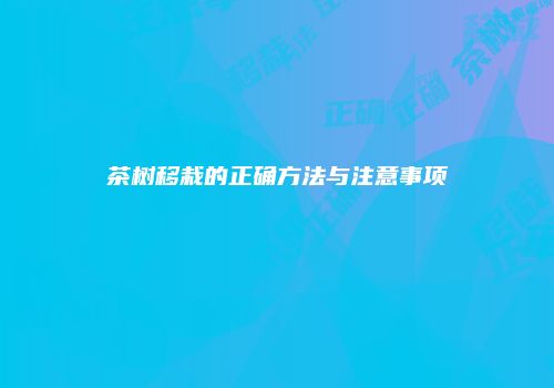 茶树移栽的正确方法与注意事项