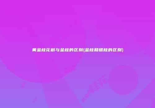 黄金桂花树与金桂的区别(金桂和银桂的区别)