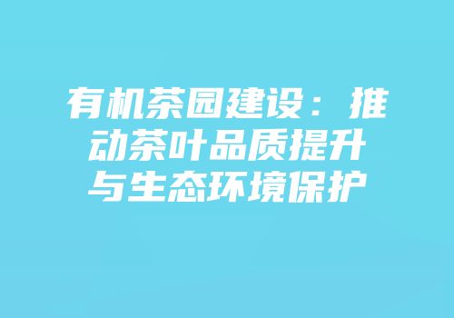 有机茶园建设：推动茶叶品质提升与生态环境保护
