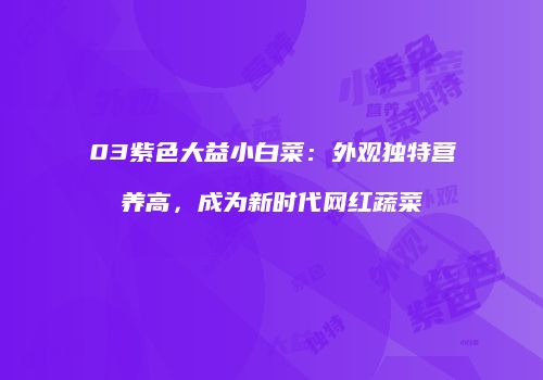 03紫色大益小白菜：外观独特营养高，成为新时代网红蔬菜