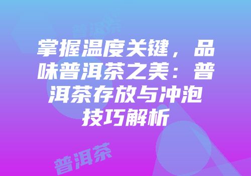 掌握温度关键，品味普洱茶之美：普洱茶存放与冲泡技巧解析