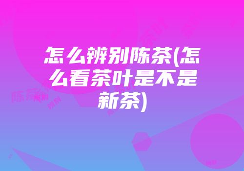怎么辨别陈茶(怎么看茶叶是不是新茶)