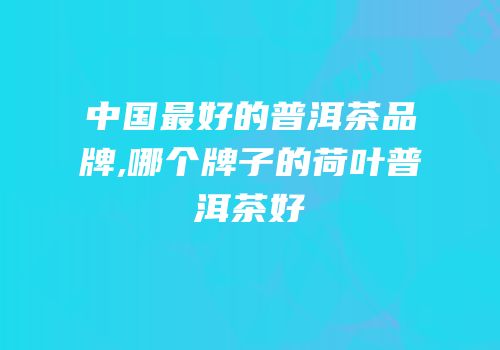 中国最好的普洱茶品牌,哪个牌子的荷叶普洱茶好