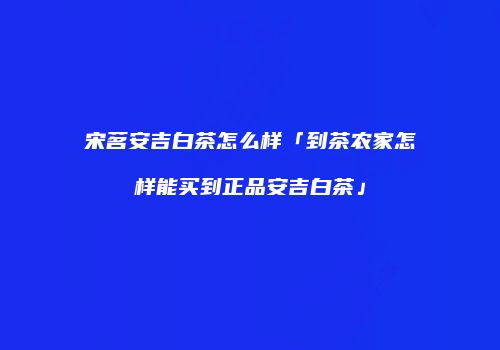 宋茗安吉白茶怎么样「到茶农家怎样能买到正品安吉白茶」