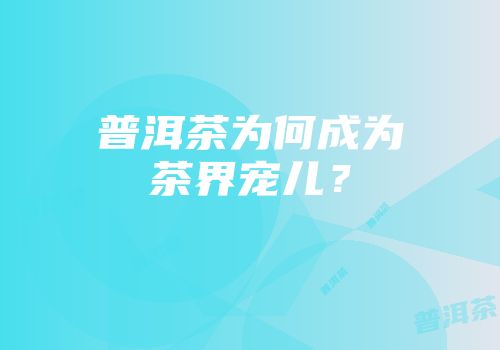 普洱茶为何成为茶界宠儿？