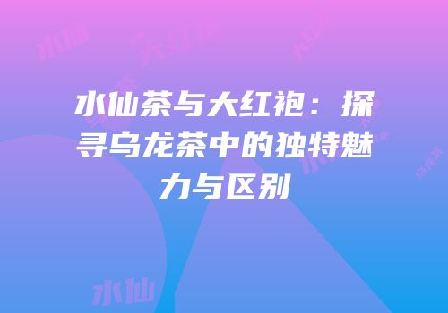水仙茶与大红袍：探寻乌龙茶中的独特魅力与区别