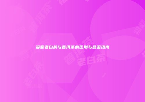 福鼎老白茶与普洱茶的区别与品鉴指南