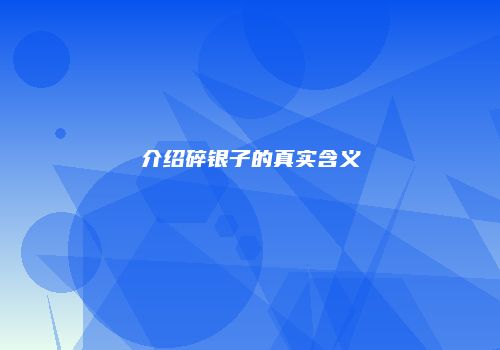 介绍碎银子的真实含义