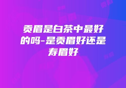 贡眉是白茶中最好的吗-是贡眉好还是寿眉好