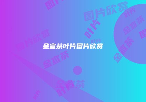金宣茶叶片图片欣赏