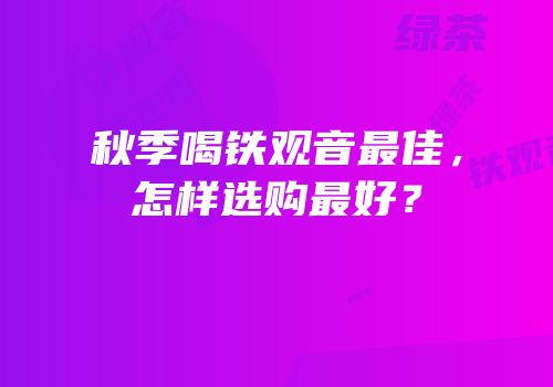 秋季喝铁观音最佳，怎样选购最好？