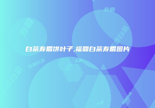 白茶寿眉饼叶子,福鼎白茶寿眉图片
