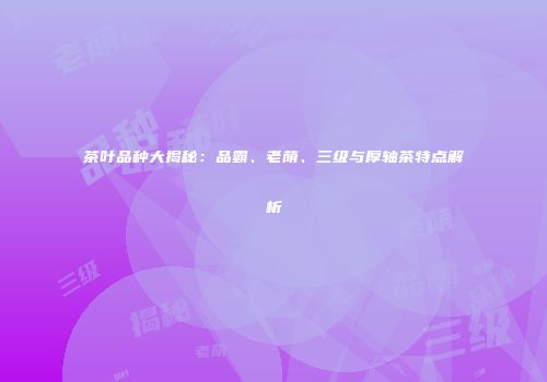 茶叶品种大揭秘：品霸、老荫、三级与厚轴茶特点解析