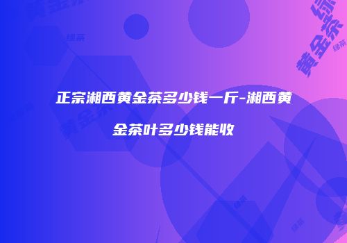 正宗湘西黄金茶多少钱一斤-湘西黄金茶叶多少钱能收