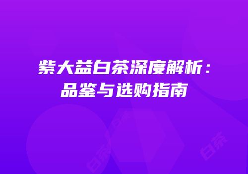 紫大益白茶深度解析：品鉴与选购指南