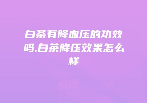 白茶有降血压的功效吗,白茶降压效果怎么样