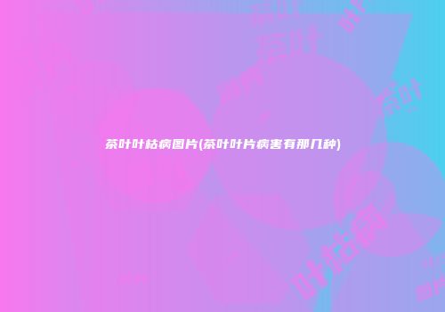 茶叶叶枯病图片(茶叶叶片病害有那几种)