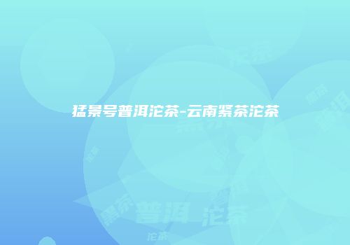 猛景号普洱沱茶-云南紧茶沱茶